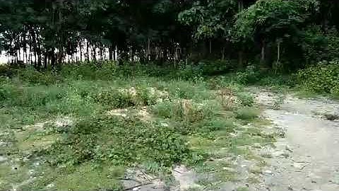 Nyob zoo nawb ib tsoom phooj ywg ntawm no yog peb sau ya nawb khwv kawg nawb cov phooj ywg