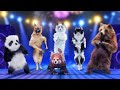 Animal Song Dance Party With Panda Dog Cats And A Bear 2024 By Twiddlie