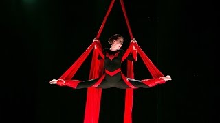 Batwoman on Aerial Silks