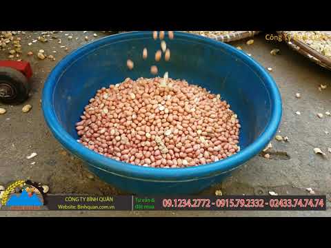 Video Máy bóc vỏ lạc Bình Quân - Bóc lạc nhanh phân loại lạc - youtube