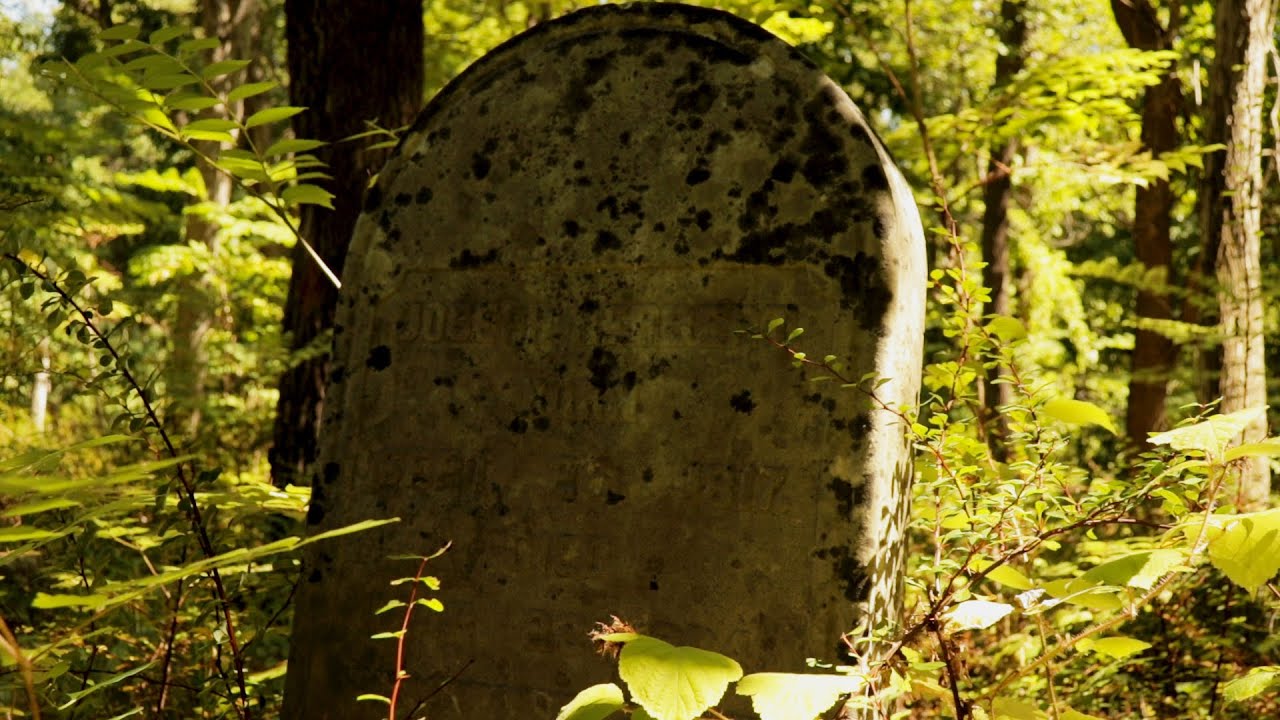 Harriman/Bear Mtn State Parks - Doodletown Revisit and the Bears are in Town!