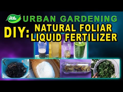 Vídeo: Calcium Foliar Spray - Fazendo spray de cálcio para plantas