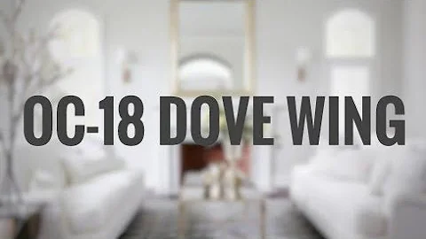 TOP WHITE PAINT COLORS | Benjamin Moore Dove Wing