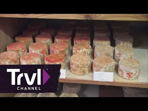 Bizarre Foods: Andrew Zimmern Learns the Art of Aging Artisanal French Cheese