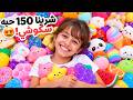اشترينا لبنتنا ايلين اكثر من     حبه سكوشي    حالتي