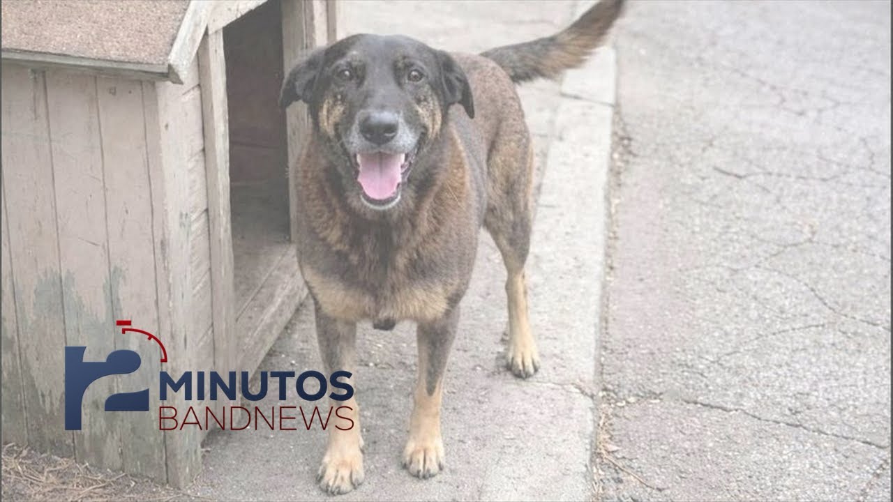 Polícia conclui investigações da morte do cão Orelha   BandNews em 2 Minutos 040225  Manhã