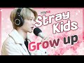 [기획사라이브] 스트레이키즈 - 잘하고 있어 (Grow up) / 산들의 별이 빛나는 밤에