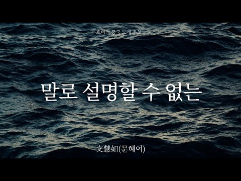 [대만 드라마 우리 집 욕조 사정 OST] 不可言说(말로 설명할 수 없는) - 文慧如(문혜여) 가사, 병음, 해석