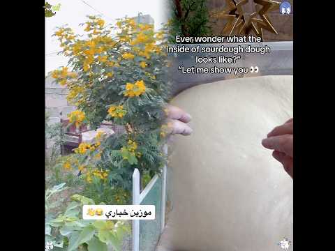 الكل يسوي تاك لأبوه الترند الجديد حسن العبودي  ابو حسن العبودي