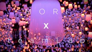 Business in japan tv was invited to a sneak preview of the mori
building digital art museum: teamlab borderless exhibition odaiba
palette town. opening on...