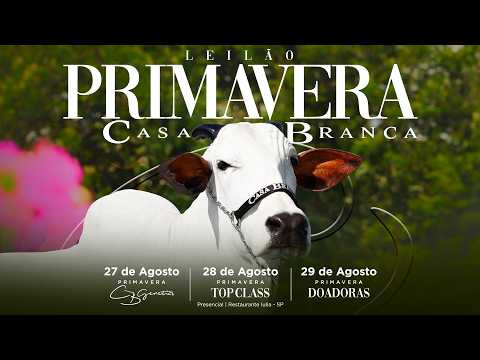 LOTE 64   CABN 1702