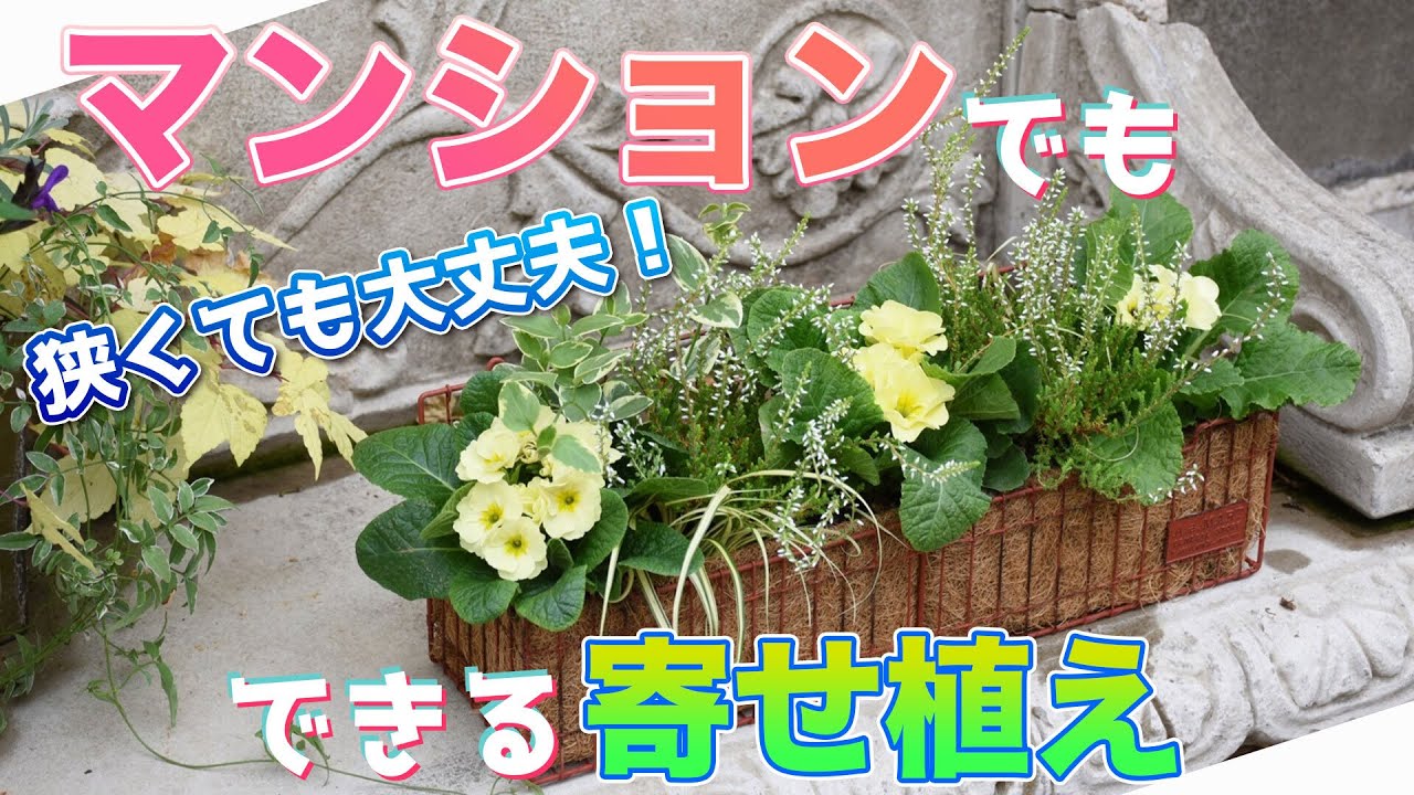 ベランダをおしゃれに マンションでもできる寄せ植え Youtube