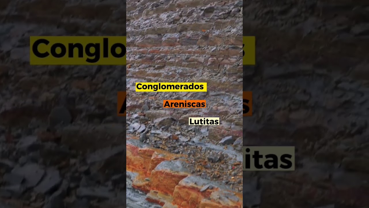 Rocas Sedimentarias Limolita Rocas Sedimentarias Según Su Tamaño De