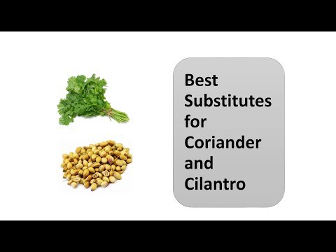 Best Substitutes for Coriander and Cilantro