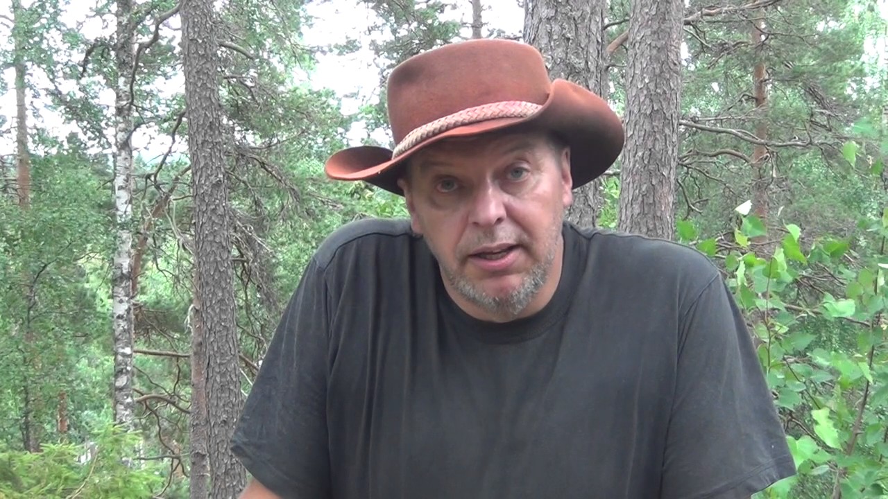 Pölkinvuoren kasvimaailma