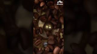 The Art of Slow Coffee Grinding | Beans at a Snail's Pace