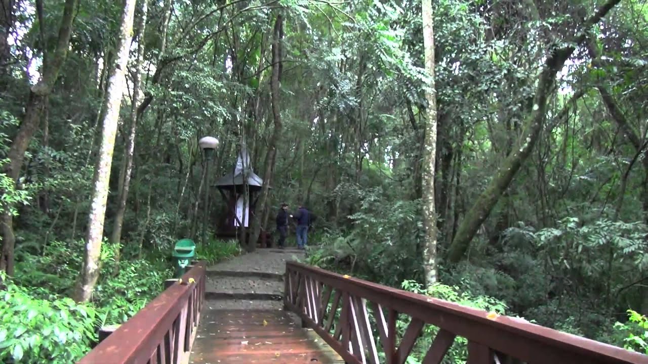 OS PARQUES E BOSQUES DE CURITIBA YouTube