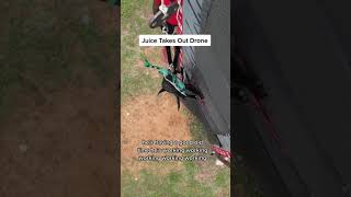 Pit Bull Takes Out Drone