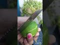 আম মাখা।#lifestyle #minivlog #food #food