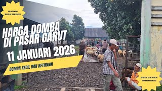 Download Lagu Harga Domba Hari Ini 11 Januari 2026 Di Pasar Garut (tebak dimana ini?) MP3