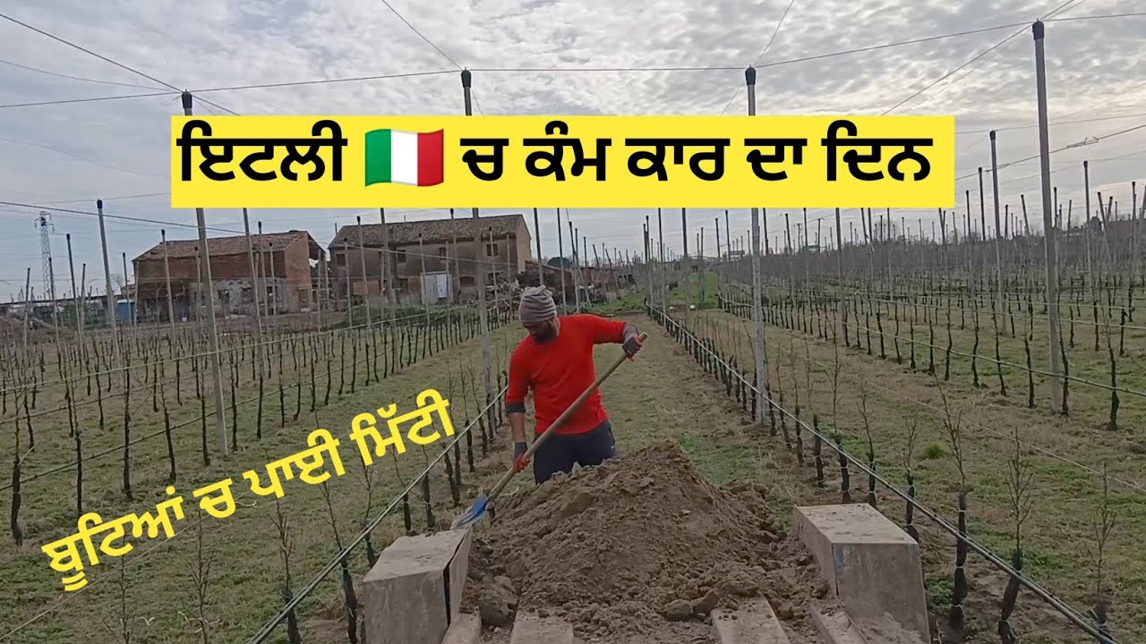 ITALY 🇮🇹 ਚ ਕੰਮ ਕਾਰ ਦਾ ਦਿਨ ☘️ 🥵/ Hard work in Italy 🇮🇹/ Punjabi Vlog 