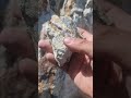 شناسایی رگه طلا در طبیعت قسمت اول قسمت دوم تست سنگ معدن برای استخراج طلا