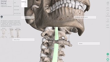 Complete Anatomy demonstration