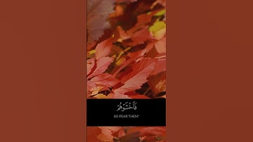 القران الكريم بصوت ماهر المعيقلي #القرآن_الكريم #اكسبلور #تلاوة_خاشعة