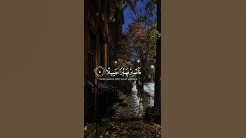 تلاوة هدئة للقارئ إسلام صبحي 🤍🌷|أكتب شيء شيء تؤجر عليه 🤍 #المصحف #اكتب_شي_تؤجر_عليه #قران_كريم