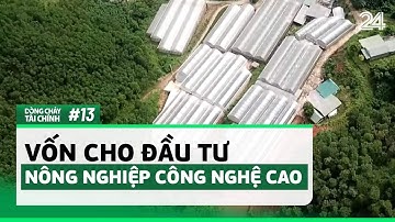 Dòng chảy tài chính #13: Vốn cho đầu tư nông nghiệp công nghệ cao | VTV24