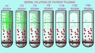 immunoassay with precipitin forming in tubes