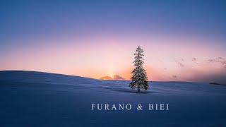 Ski Trip in Hokkaido Ep.2 Furano & Biei