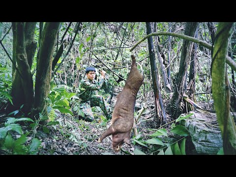 45 Days Of Searching For Food Setting Traps Building Shelters Hunting Confronting Wild Species 45 Days Of Searching For Food Setting Traps Building Shelters Hunting Confronting Wild Species