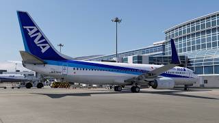 AXONOS Haneda | RJTT - RJFF | LevelUp 737-800