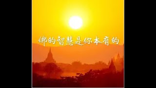 201401 佛的智慧是你本有的30651