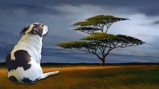 Mr. Bubz, Remember Who You Are