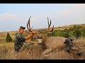 Badlands - Archery Mule Deer Hunt on Public Land 2017