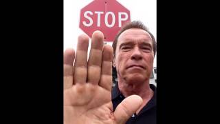 Arnold Fest '15: Craigslist, Dogs and Gunshops