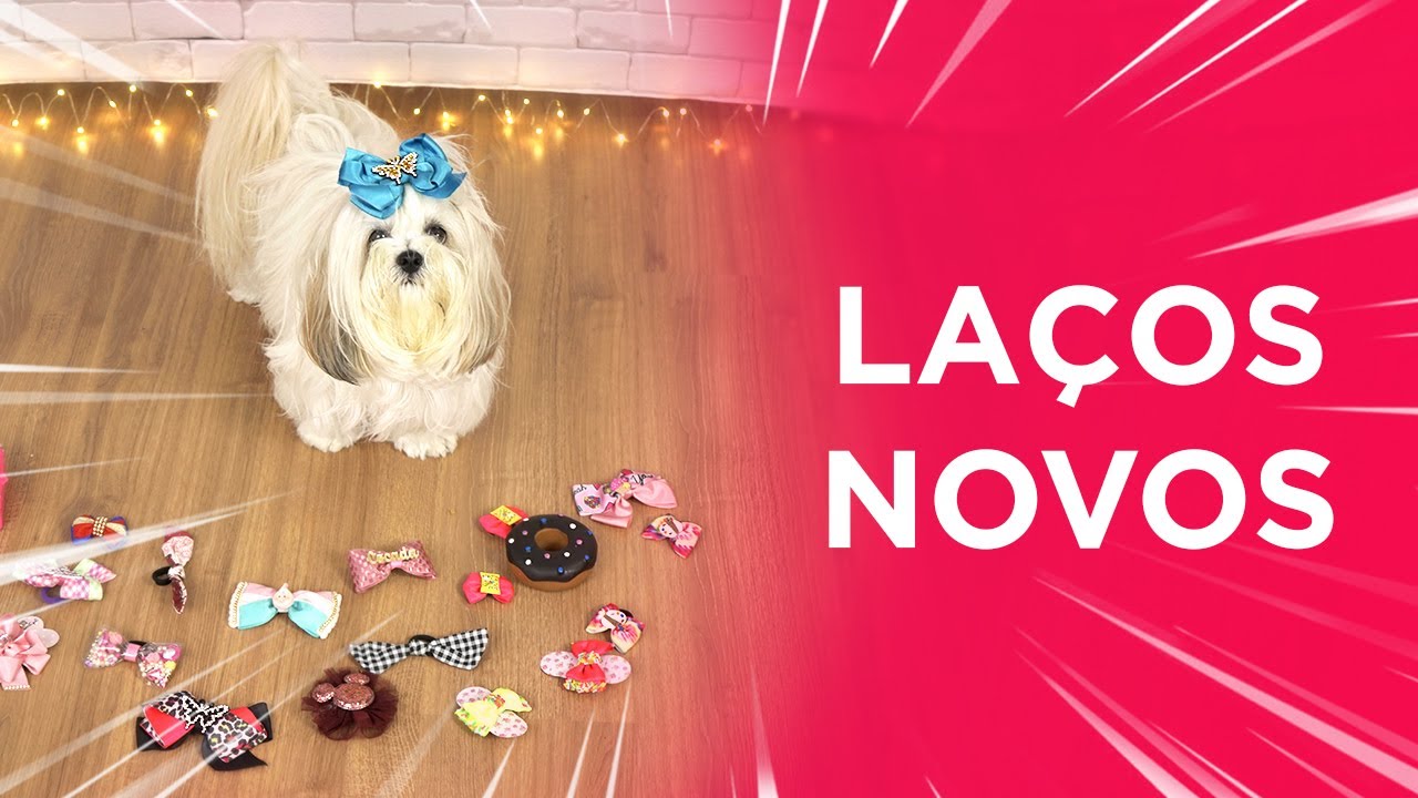 RECEBIDOS da Cocada! LAÇOS lindos! 