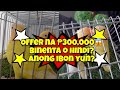 300000 sa isang ibon in or out