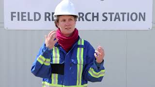 High-rate CO2 injection shows picture underground | CaMI Corner Episode 17