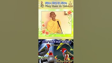 VỀ CÕI CỰC LẠC - HT THÍCH GIÁC KHANG #hoiquanphatgiao #phapamdaophat