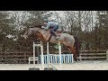 SEEING HOW HIGH MY HORSE CAN JUMP!