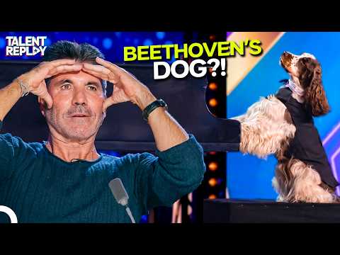 Simon Sent Them Away... Then They Came Back With a PIANO-PLAYING DOG! | Britain's Got Talent