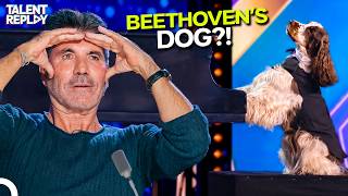 Simon Sent Them Away... Then They Came Back With a PIANO-PLAYING DOG! | Britain's Got Talent