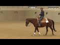 NRHA Japan ・World  Para Reining Japan Challenge 2018