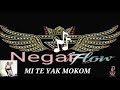 Negar flow mi te yak mkm audio officiel