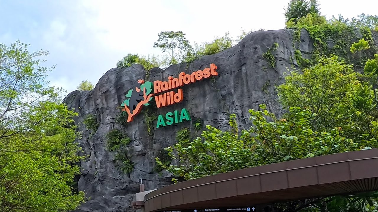 Testing my Insta360 Go Ultra at Mandai Rainforest Wild Asia!