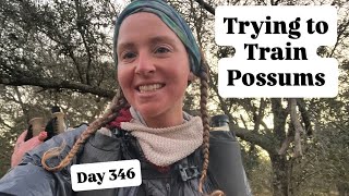 Trying To Train Possums & Another Big Mile Day