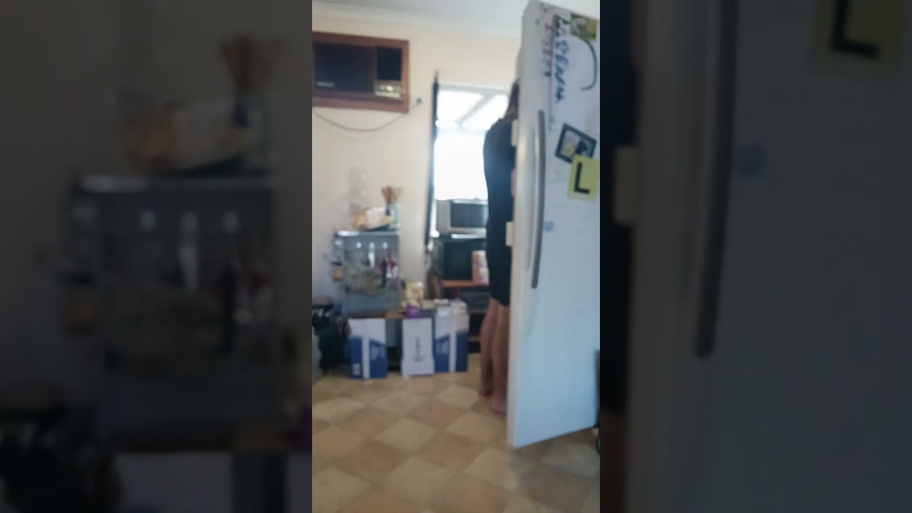 Look at them it's all good while I'm having just a bad day they are all relaxed. my leg hurts